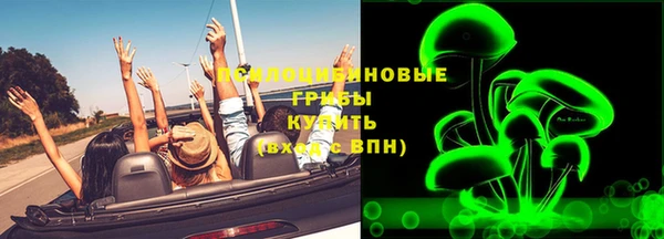Альфа ПВП Галич