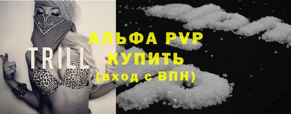 дживик Гатчина