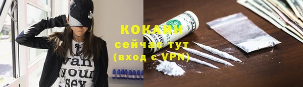 гашик Покровск