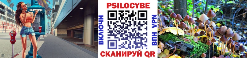 это телеграм  Пошехонье  Галлюциногенные грибы MAGIC MUSHROOMS 